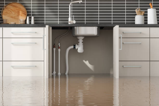 Best Residential Water Damage Restoration in West Wareham, MA